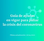 Ver imagen de Guía de ayudas en vigor para paliar la crisis del coronavirus